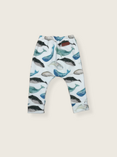 Lade das Bild in den Galerie-Viewer, Preise ~ Slim Harem Pants ~ Gr. 50-116