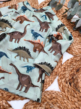 Lade das Bild in den Galerie-Viewer, Gr. 80 UV-Badeset langarm, norm. Bündchen, Dinos