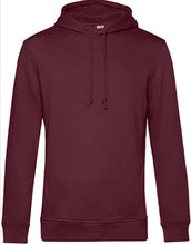 Lade das Bild in den Galerie-Viewer, Picture Herren Hoodie
